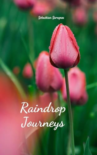 Raindrop Journeys Raindrop Journeys von Swan Charm Publishing