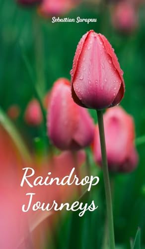 Raindrop Journeys Raindrop Journeys von Swan Charm Publishing