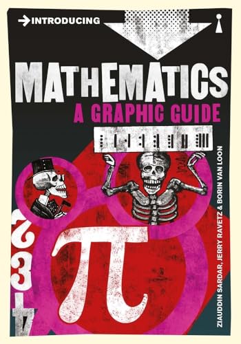Introducing Mathematics: A Graphic Guide