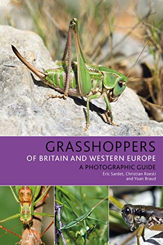 Grasshoppers of Britain and Western Europe: A Photographic Guide (Bloomsbury Naturalist)