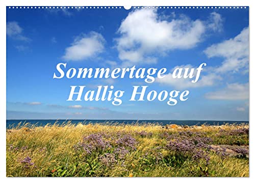 Sommertage auf Hallig Hooge (Wandkalender 2024 DIN A2 quer), CALVENDO Monatskalender