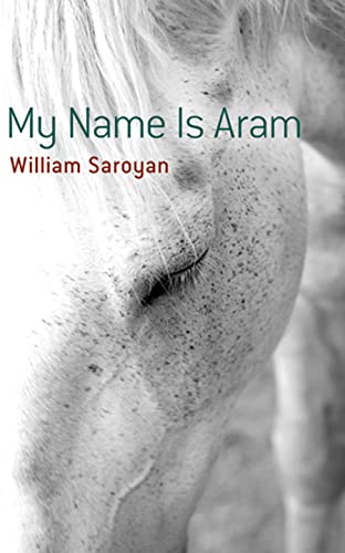 My Name Is Aram (Dover Literature: Short Stories) von Dover Publications