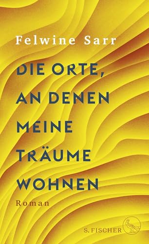 Die Orte, an denen meine Träume wohnen: Roman
