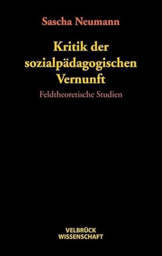 Kritik der sozialpädagogischen Vernunft: Feldtheoretische Studien