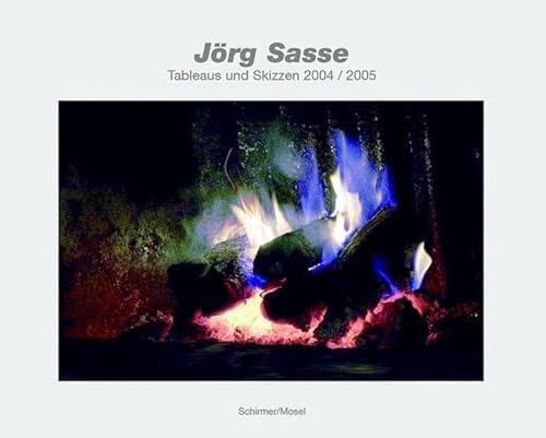 Tableaus und Skizzen 2004/2005: Tabelau und Skizzen 2004/2005. Katalog zur Austellung in der Kunsthalle Bonn 2005/2006 und im Kunstverein Hannover 2006 (Jorg Sasse: Tableaus Und Skizzen)