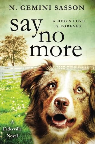 Say No More (The Faderville Novels, Band 1)
