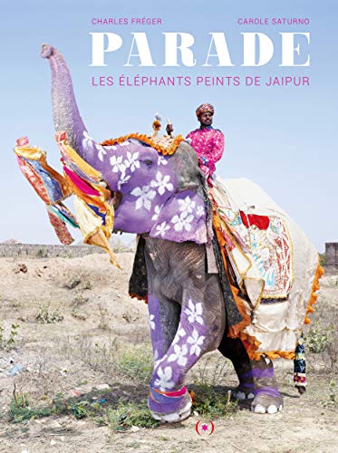 Parade: Les éléphants peints de Jaipur