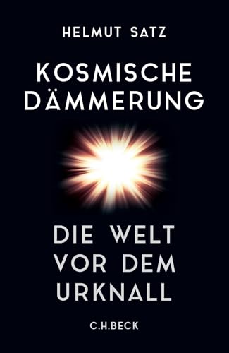 Kosmische Dämmerung: Die Welt vor dem Urknall von Beck C. H.