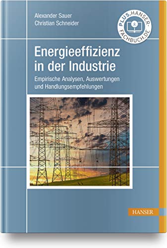 Energieeffizienz in der Industrie: Empirische Analysen, Auswertungen und Handlungsempfehlungen von Hanser Fachbuchverlag