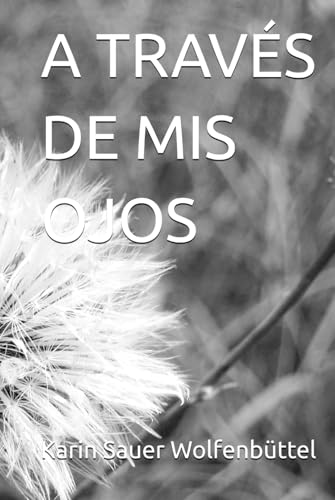 A TRAVÉS DE MIS OJOS