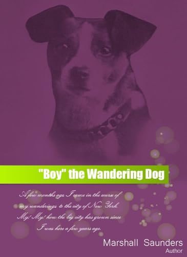 "Boy" the Wandering Dog von Anson Street Press