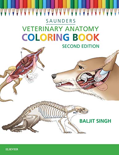 Veterinary Anatomy Coloring Book von Saunders