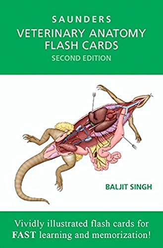 Veterinary Anatomy Flash Cards von Saunders
