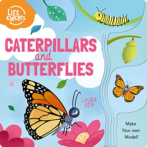 Life Cycles: Caterpillars and Butterflies: Make Your Own Model! von Arcturus