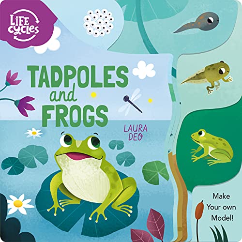 Tadpoles and Frogs: Make Your Own Model! (Life Cycles) von Arcturus Publishing Ltd