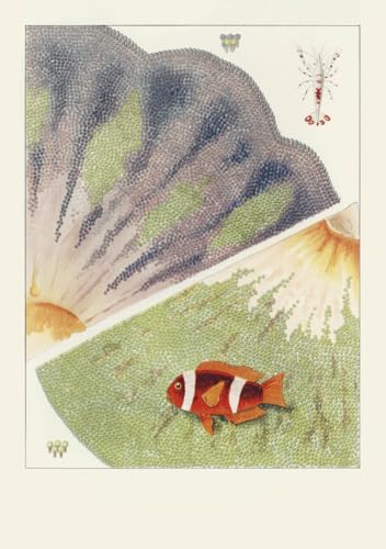 Carnet - La Grande Barrière de corail von RELIEFS