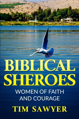 BIBLICAL SHEROES: WOMEN OF FAITH AND COURAGE (Biblical Characters, Band 7)