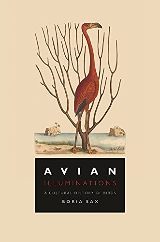 Avian Illuminations: A Cultural History of Birds Avian Illuminations: A Cultural History of Birds von Reaktion Books