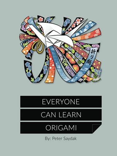 Everyone Can Learn Origami von Independently published