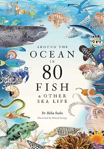 Around the Ocean in 80 Fish and other Sea Life von Laurence King Publishing