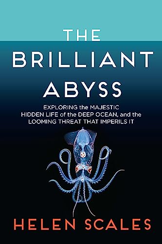 Brilliant Abyss: Exploring the Majestic Hidden Life of the Deep Ocean, and the Looming Threat That Imperils It