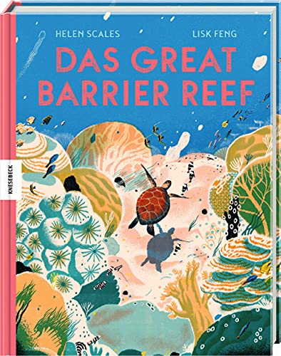 Das Great Barrier Reef: Alles über das größte Korallenriff unseres Planeten von Knesebeck Von Dem GmbH