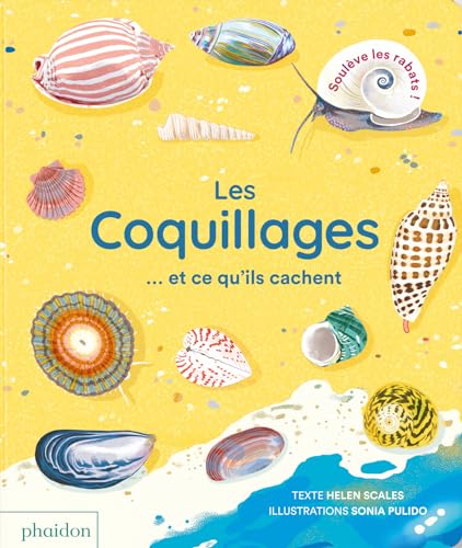 Les coquillages... et ce qu'ils cachent Les coquillages... et ce qu'ils cachent von PHAIDON FRANCE