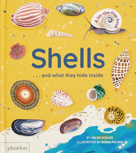 Shells... and what they hide inside: A Lift-the-Flap Adventure von Phaidon Press