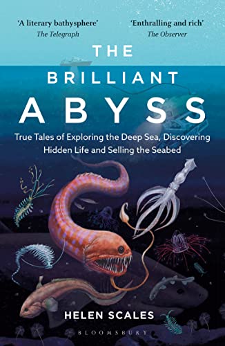 The Brilliant Abyss: True Tales of Exploring the Deep Sea, Discovering Hidden Life and Selling the Seabed von Bloomsbury Sigma