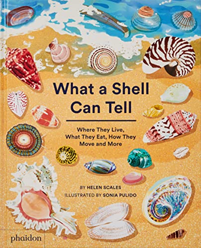 What A Shell Can Tell (Libri per bambini)