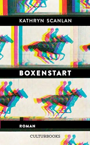 Boxenstart: Roman von Hamburg : CulturBooks Verlag,