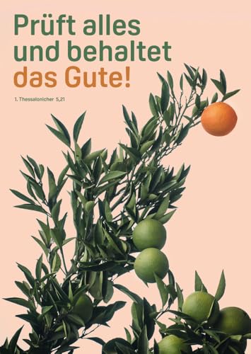 Jahreslosung 2025 - Postkarten (10er-Set): Prüft alles und behaltet das Gute! 1. Thessalonicher 5,21 von adeo
