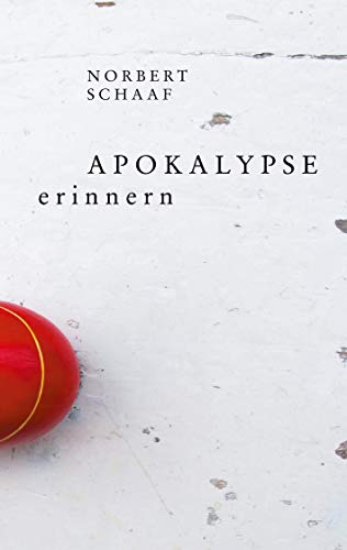 Apokalypse erinnern von Books on Demand