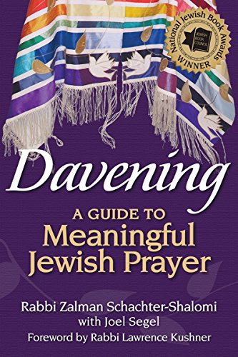 Davening: A Guide to Meaningful Jewish Prayer von Jewish Lights Publishing