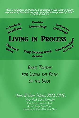 Living in Process: Basic Truths for Living the Path of the Soul von iUniverse