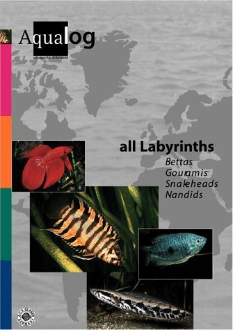Aqualog. Reference fish of the world: Aqualog, Bd.6, All Labyrinths: Bettas, Gouramis, Snakeheads, Nandids. Reference fish of the world. Text engl.-dtsch.