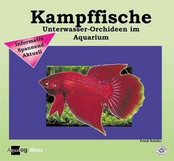 Kampffische: Informativ, Spannend, Aktuell (Aqualog mini) Kampffische: Informativ, Spannend, Aktuell (Aqualog mini)