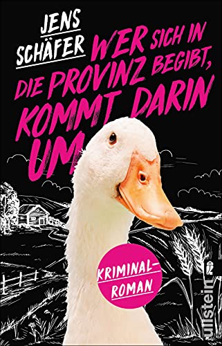 Wer sich in die Provinz begibt, kommt darin um: Kriminalroman