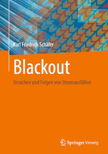 Blackout: Ursachen und Folgen von Stromausfällen von Springer Vieweg