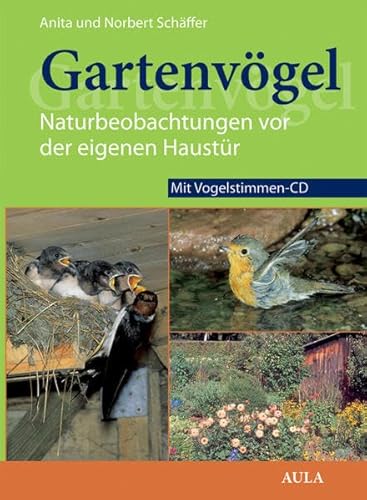 Gartenvögel: Naturbeobachtungen vor der eigenen Haustür