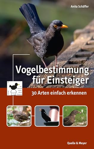 Vogelbestimmung für Einsteiger: 30 Arten einfach erkennen von Quelle + Meyer