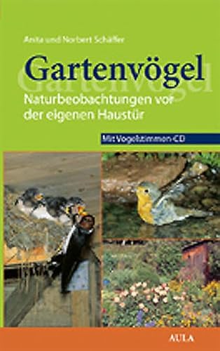 Gartenvögel: Naturbeobachtungen vor der eigenen Haustür