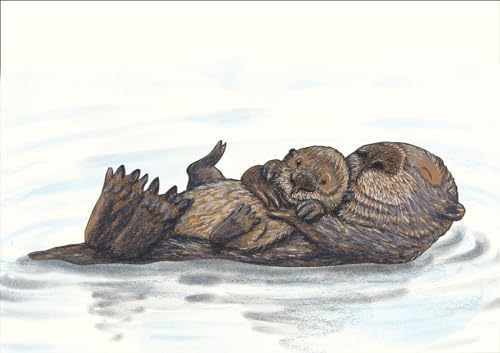 Getragen sein Postkarte VE 1 = 10: Postkarten, nur in Verkaufseinheit von 10 Stück Getragen sein Postkarte VE 1 = 10: Postkarten, nur in Verkaufseinheit von 10 Stück von Atlantis Kinderbuch