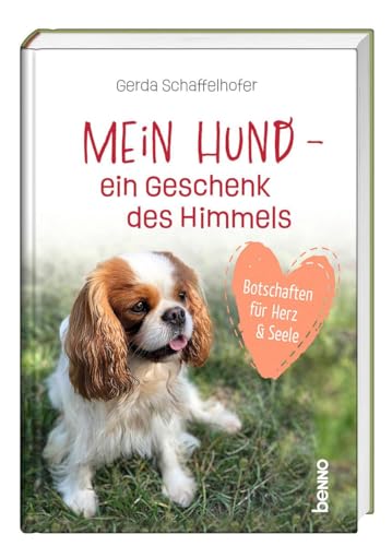 Mein Hund – ein Geschenk des Himmels: Botschaften für Herz und Seele von St. Benno Verlag GmbH
