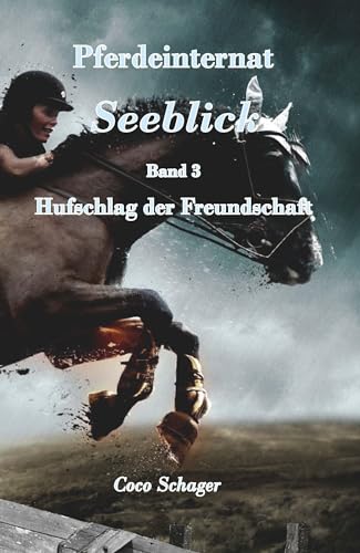 Pferdeinternat Seeblick Band 3: Hufschlag der Freundschaft von Buchschmiede