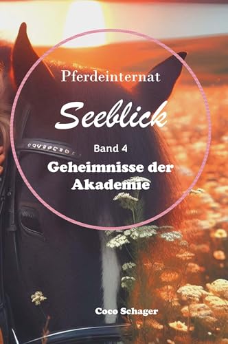 Pferdeinternat Seeblick Band 4: Geheimnisse der Akademie von Buchschmiede