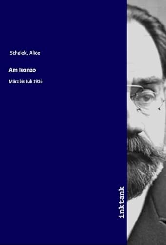 Am Isonzo: März bis Juli 1916 von Inktank-Publishing