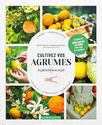 Cultivez vos agrumes: En pleine terre ou en pot
