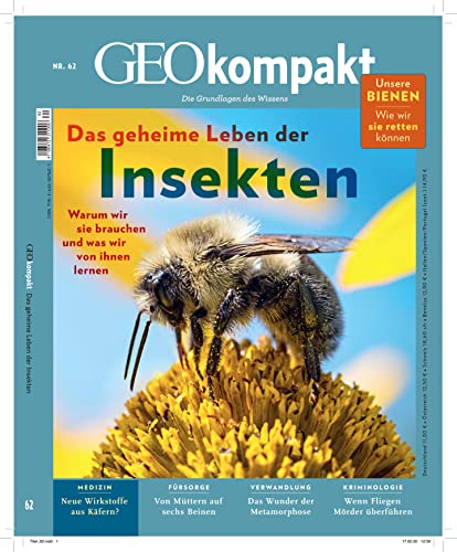 GEOkompakt / GEOkompakt 62/2020 - Das geheime Leben der Insekten: Die Grundlagen des Wissens