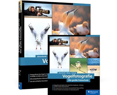 Vogelfotografie: Die große Fotoschule von Rheinwerk